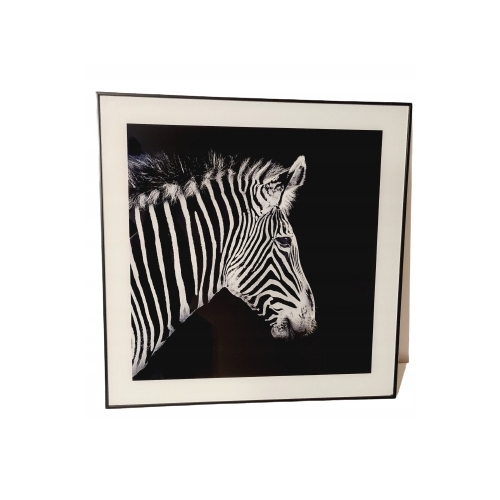 Nowoczesny i designerski Obraz Czarno Biały 50 x 50 cm Czarna Rama ZEBRA