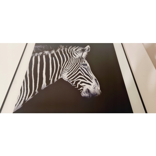 Nowoczesny i designerski Obraz Czarno Biały 50 x 50 cm Czarna Rama ZEBRA