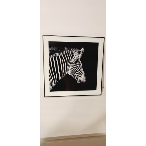 Nowoczesny i designerski Obraz Czarno Biały 50 x 50 cm Czarna Rama ZEBRA