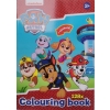 Kolorowanka malowanka Psi Patrol PAW PATROL NICKELODEON 128 str Naklejki C
