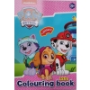 Kolorowanka malowanka Psi Patrol PAW PATROL NICKELODEON 128 str Naklejki Ż