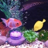 WODOODPORNA LAMPKA 10 LED RGB PILOT AKWARIUM BASEN STAW JACUZZI 2 SZTUKI