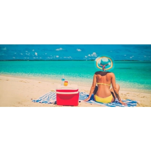 NIEBIESKI WKŁAD CHŁODZĄCY DO LODÓWKI TURYSTYCZNEJ CHŁODZIWO 1 x 200 ml