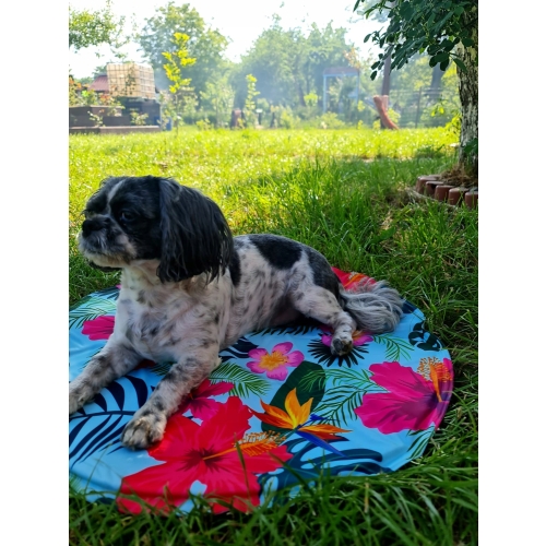 MATA CHŁODZĄCA DLA ZWIĘRZĄT PSA KOTA PUPILA 60 cm OKRĄGŁA palmy