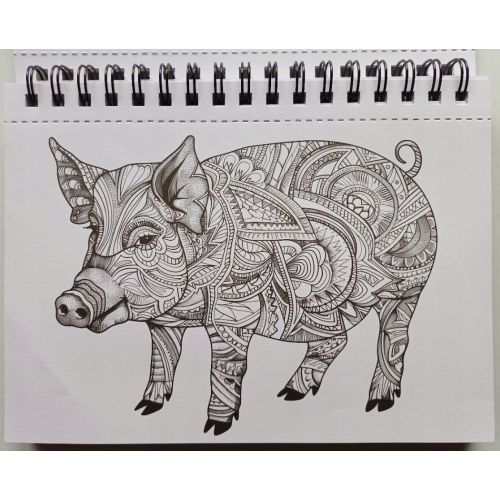 KOLOROWANKA MALOWANKA NA SPIRALI WSPANIAŁE ZWIERZĄTKA 23 X 17CM 56 STRON