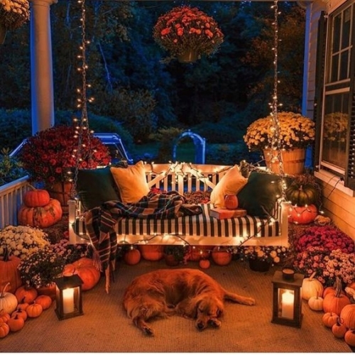 DEKORACJA JESIENNA MAŁE OZDOBNE SZYSZKI ZESTAW DO ARANŻACJI NATURALNE