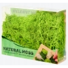 Mech CHROBOTEK dekoracyjny prawdziwy naturalny Jasno-Zielony Light 24 g