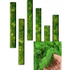 Mech CHROBOTEK dekoracyjny prawdziwy naturalny Jasno-Zielony Light 24 g