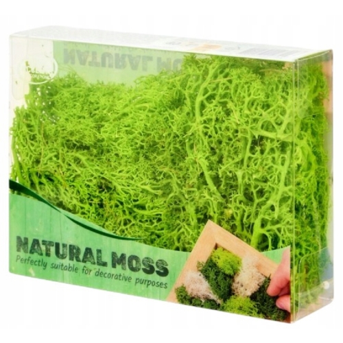 Mech CHROBOTEK dekoracyjny prawdziwy naturalny Jasno-Zielony Light 24 g