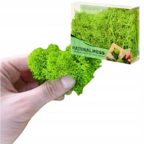 Mech CHROBOTEK dekoracyjny prawdziwy naturalny Jasno-Zielony Light 24 g