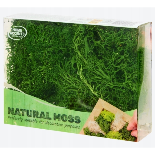 Mech CHROBOTEK dekoracyjny prawdziwy naturalny Ciemno-Zielony Dark 24 g