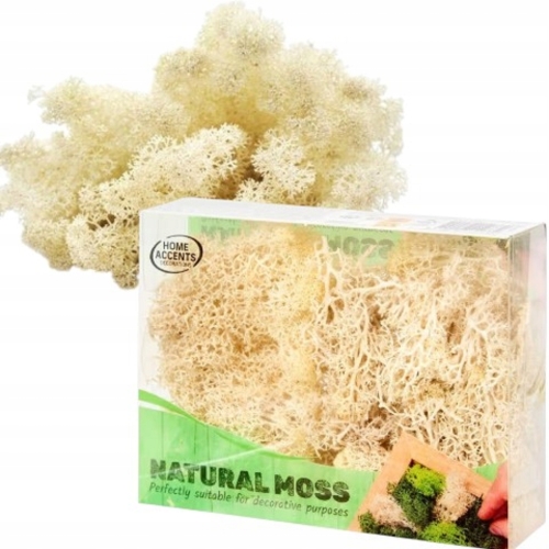 Mech CHROBOTEK dekoracyjny prawdziwy naturalny Jasny White 24 g