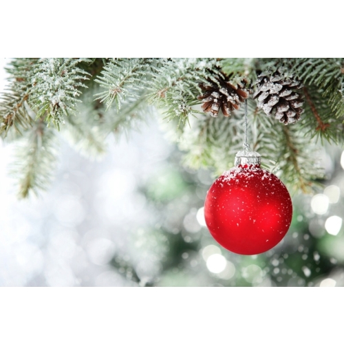 Sztuczny sypki śnieg w proszku płatki do dekoderacji bardzo realistyczny 3L