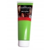 Farba akrylowa profesjonalna tuba Van Bleiswijck BRILLIANT GREEN no. 50 ml