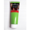 Farba akrylowa profesjonalna tuba Van Bleiswijck BRILLIANT GREEN no. 50 ml