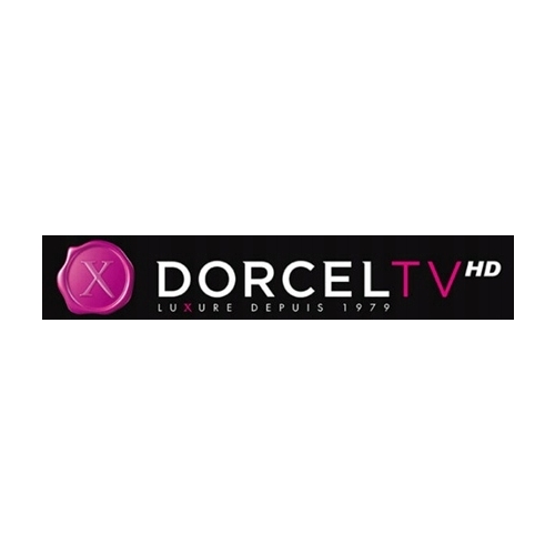 Moduł CI SMIT DVBS2 CONAX do kart Telewizji na kartę TNK START SMART DOMOWY